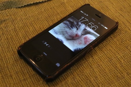 iphone5_01.jpg