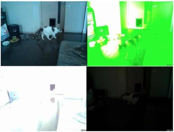 rusucamera_w560.jpg