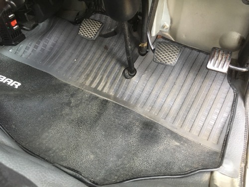 sambar_pedal.jpg