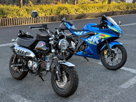 GSX-R125その後(次のバイク探し)